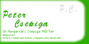 peter csepiga business card